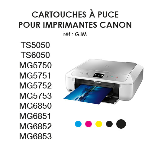 Cartouches Encre Alimentaire avec Puces MG5750 / MG5751 / TS5050