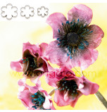 SUGAR FLOWER CUTTERS | 6 Petal Blossom - Medium Size, Set of 3 Sizes - Tinplate