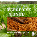 Vergeoise Sugar - Light (Belgian Light Brown Beet Sugar) - Pack of 500 g